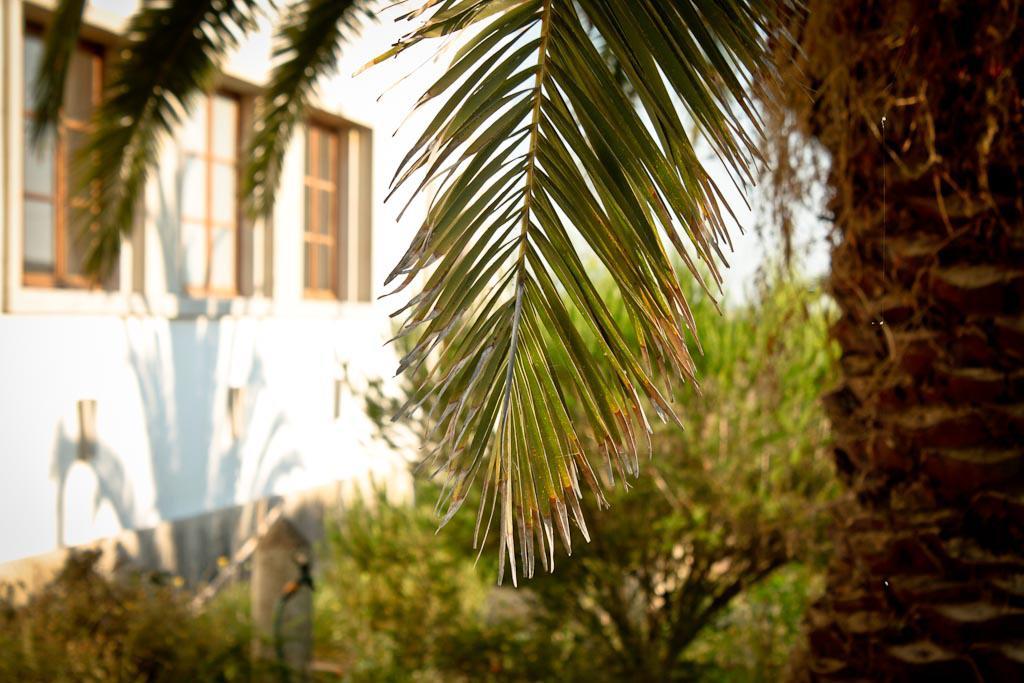 Cabeca Da Cabra Casa De Campo بورتو كوفو المظهر الخارجي الصورة